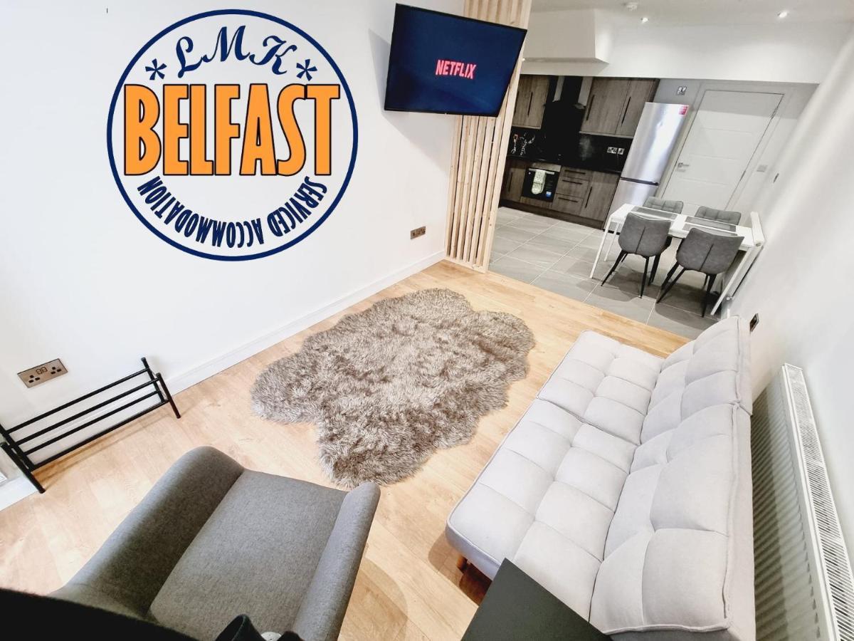 Lmk, Spacious 1 Bedroom Ground Floor Apartment, Ev Charger, Free Parking Wi-Fi, Great Location Belfast Exterior photo